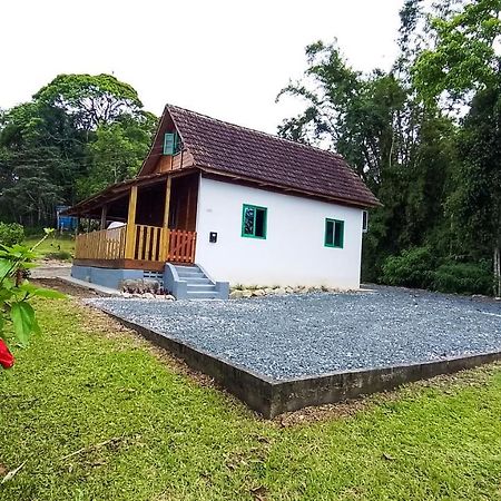 Casa Do Tesouro Villa Joinville Ngoại thất bức ảnh