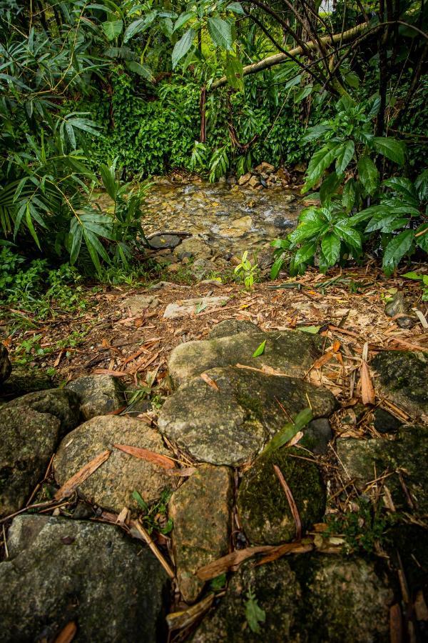 Casa Do Tesouro Villa Joinville Ngoại thất bức ảnh