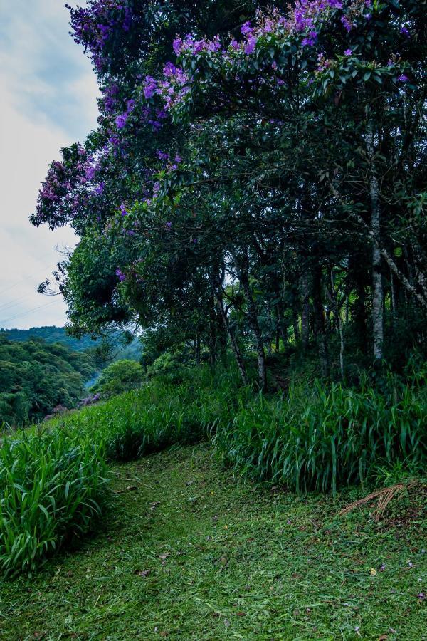 Casa Do Tesouro Villa Joinville Ngoại thất bức ảnh